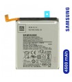 Forfait Réparation Samsung S10 Lite G770F Batterie interne